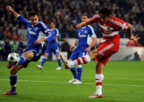 要大量的科 要大量的科