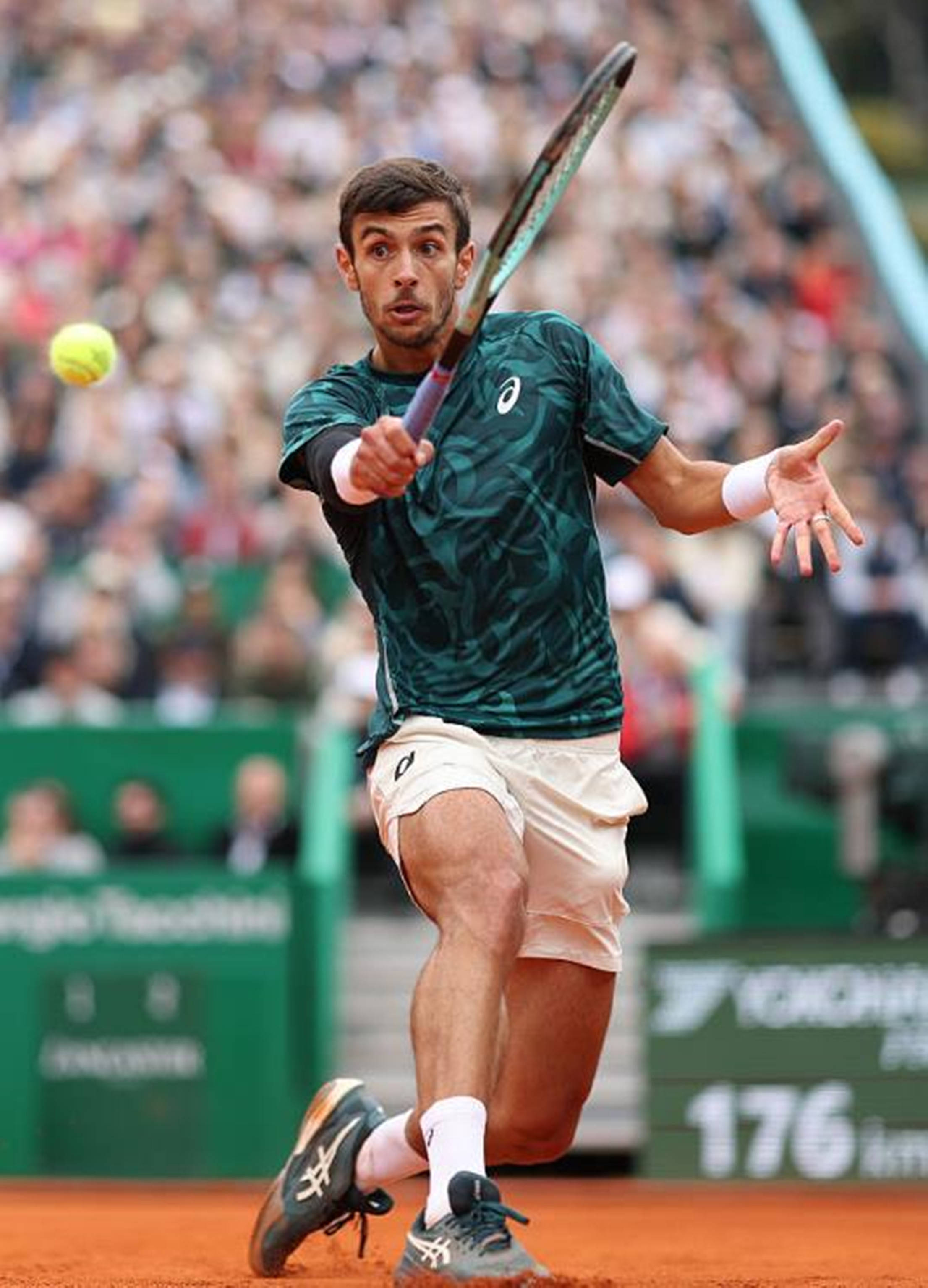 让不少球迷 让不少球迷